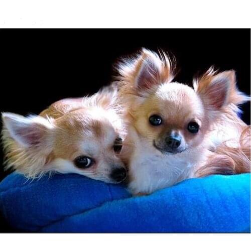 5D Diy,diamond painting puppies chihuahua dog rhinestone embroidery animal pet mosaic diamond cross stitch full round drill L233