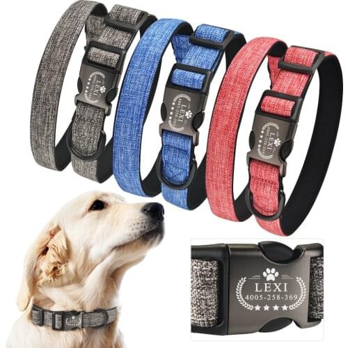 AiruiDog Personalized Dog Collar Custom Engraved ID Name Padded Small Medium Large Puppy