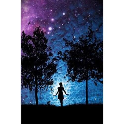 GLymg Diy Diamond Craft Embroidery 5d Diamond Painting Diamond Embroidery Mystic Moonlight Diamond Art Wall