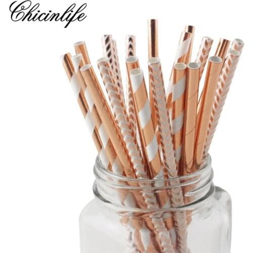 Chicinlife Straws For The Holidays