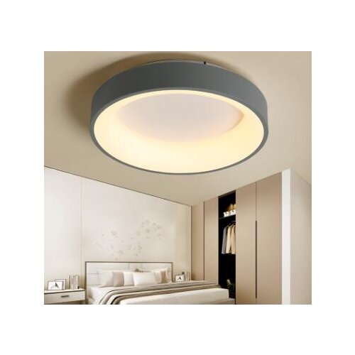 LED personality creative ring iron ceiling lamp modern simple bedroom study restaurant living room lighting with remote control