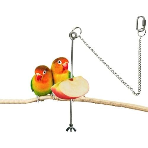 Stainless Steel Bird Chicken Veggies Skewer Food Fruit Holder for Hens Hanging Vegetable Feeder Foraging Toy