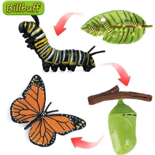 2020 Insect Animals Model Simulation Butterfly Growth Cycle Action Figures Figurine Miniature Educational Toys for children Gift