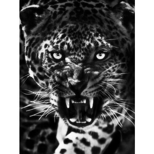 5d Black White Embroidery Mosaic Leopard Animal Diamond Painting Kit Bead Picture Wall Paper Rhinestones Draw Christmas Gift New