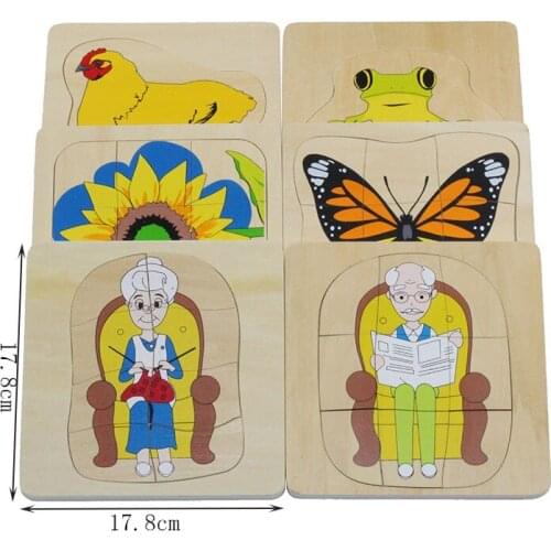 Montessori toys science and culture teaching aids figures, animals, plants multilayer wooden puzzle preschool education toys