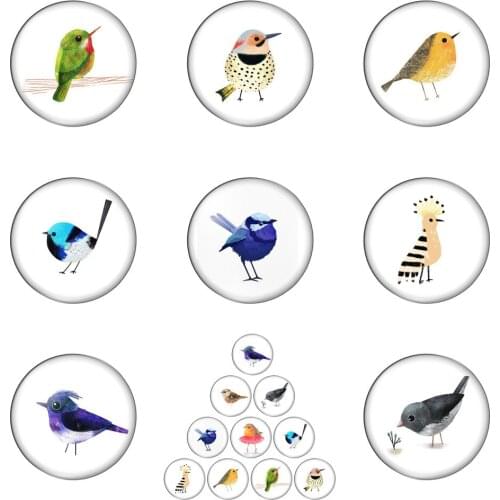 Cartoon Cute Bird Colourful Painting 10pcs Mixed 12mm/20mm/25mm/30mm Round Photo Glass Cabochon Demo Flat Back Making Findings