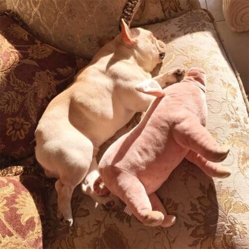 Pet Dogs Toys Accompany Sleeping Pigs Toys Warm Soft Plush Cotton Sleeping Partner for Puppy Dogs Chewing Dogs Toys Pet Supplies