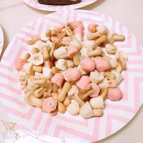 Disposable Paper Plate Picnic Tableware Children’s Birthday Party Dessert Table Arrangement Fruit Cooked Dishes Round Plate