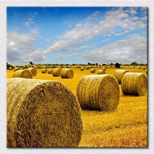 Wholesale cotton canvas prints of Warm memories from a photo of the farm view , quality canvas walll art for home free shipping