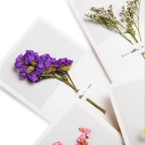 5pcs/lot Flowers dried flowers greeting card christmas valentines day wedding flowers card Donot forget me myosotis
