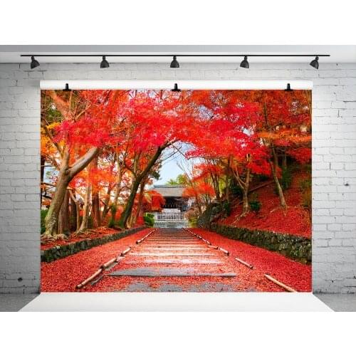 VinylBDS Autumn Backdrops Photography Red Maple Leaf Photo Backdrops Scenery Trees Road Backgrounds For Kid Photo Studio