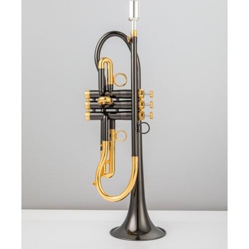 Professional Musical Instrument Bb Trumpet Two Colours Body Brass Nickel Plated Material With Case Free Shipping