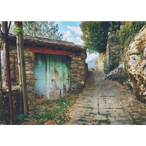 Old House Stone Road Vinyl Photo Background Scenic Computer Printed Photography Backdrops Photocall Photo for Camera Photo