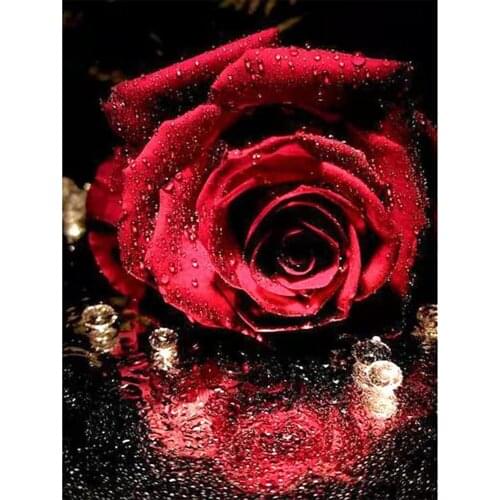 Flower Rose Pre-Printed 11CT Cross-Stitch Patterns Embroidery Cotton Threads Handiwork Hobby Craft Handicraft Needle Gift Mulina