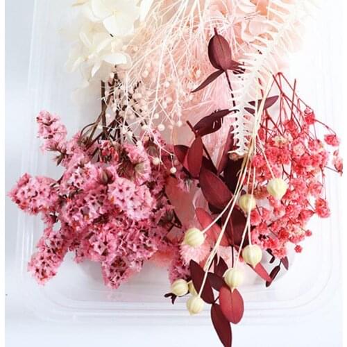 Portable 1 Box Attractive Fine Texture All Match Preserved Flower 5 Colors Dried Flower Decor Eye-catching for Gifts