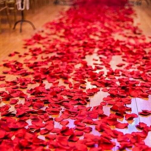 500 Pieces Rose Petals Romantic Ornament Rose Petals
