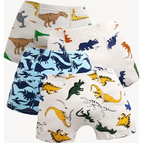 SeeTomatos Underwear For Boys