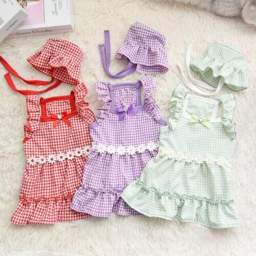 2021 Pet Clothing Dog Dress Hat Outdoor Travel Dog Clothes Princess Skirt Pomeranian Maltese Poodle Bichon Schnauzer Dog Costume