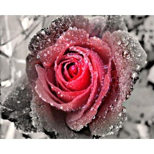 GELANYOUPIN 5D DIY Diamond Painting "Rose Flower" Embroidery Full Round Diamond Cross Stitch Rhinestone Mosaic Painting Decor