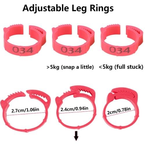 100PCS Chicken Foot Ring Adjustable Size Poultry Leg Digital Label Buckle Ring 3 Colors Plastic Chick Duck Pigeon Farm Equipment