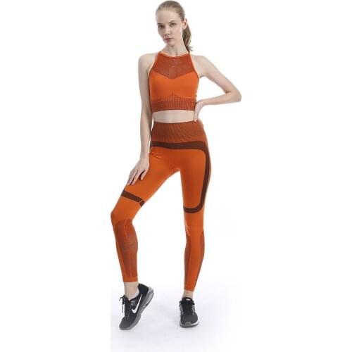 Seamless Mesh Gym Yoga Set Sexy Fitness Running Clothing Women Workout Sets High Waist Yoga Pants Hollow Backless Bra Suits