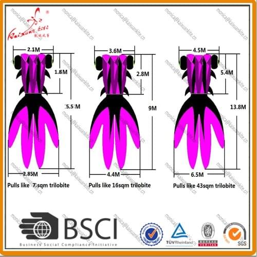 5.5m Goldfish Kite from Weifang Kaixuan Kite