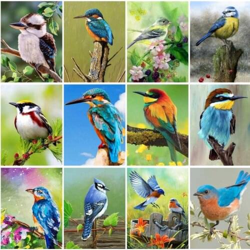 PhotoCustom Frameless Paint By Numbers sparrow Acrylic Handpainted birthday present On Canvas Home Decor Diy Gift living room