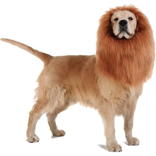 Pet Hat Four Seasons Dog Dazzle Cool Equipment Engage In Laugh Lion Head Wig Hat Cat and Dog Head Set Animal Headwear Accessorie