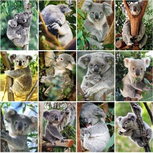5D Diamond Painting Tropical Animal Koala Diy Diamond Embroidery Cross Stitch Set Mosaic Full Drill Needlework Home Decor Kits