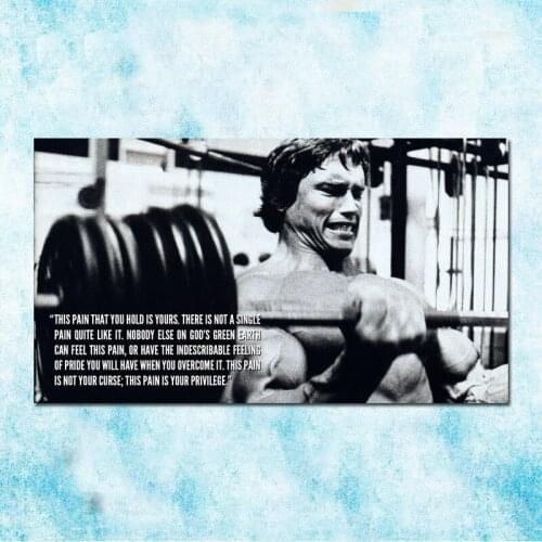 Arnold Schwarzenegger Bodybuilding Motivation Art Silk Poster Canvas Print 13x24 24x43 Inch-003