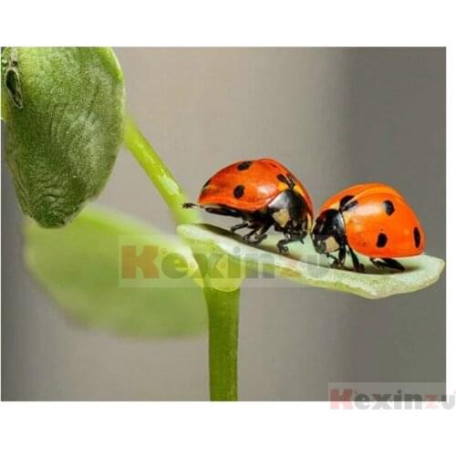 Kexinzu Full 5D DIY Square/Round Drill Diamond Painting "Animal insect" 3d Diamond Embroidery Cross Stitch Decor Gift K524