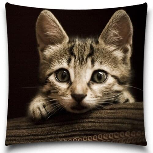Gentle looking cat Square Pillow Case Cover Bedding Polyester Cotton Cushion Cover