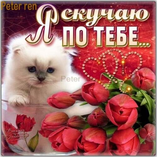 Peter ren Square diamond painting cross stitch 5d DIY diamond embroidery diamond mosaic full embroidery White cat rose red