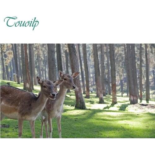 5D diamond painting Elk Animal Forest cross stitch round& Rhinestones embroidery plastic craftsFull diamond painting