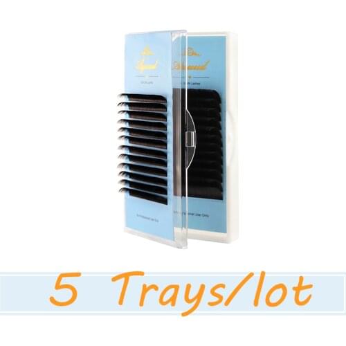 AGUUD 5 Trays Individual Lashes Extension C CC D DD Matte Black Silk Eyelashes Russian Volume Eyelash Extensions Makeup Cilia