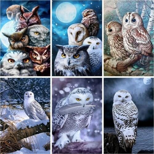 HUACAN Diamond Painting New Owl 5D Diamond Embroidery Cross Stitch Animal Rhinestones Mosaic Sale Decortion