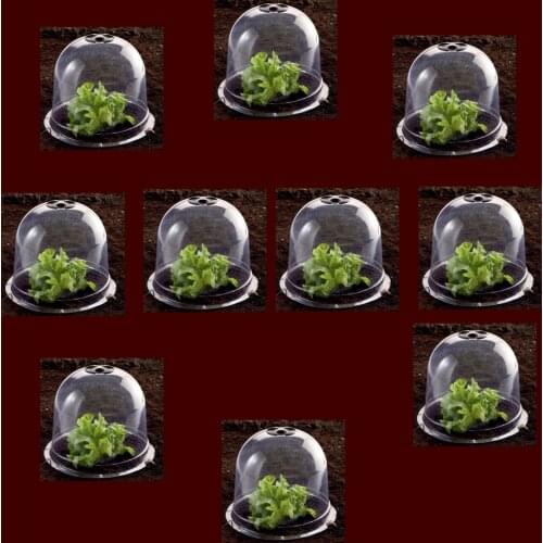 Batawa Plastic Protective Garden Cloche, Plant Bell Cover 10pcs/lot