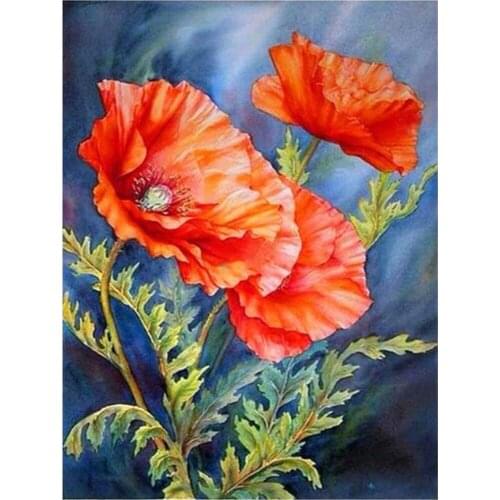 Poppy Flowers Printed Water-Soluble Canvas 11CT Cross-Stitch DIY Embroidery Set DMC Threads Handiwork Knitting Package