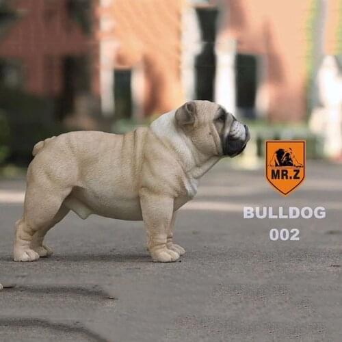 1/4Mr.Z simulation dog bulldog animal model model gift collection movable doll scene accessories home decorations
