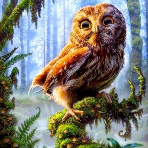 DIY Diamond Embroidery Full Display Animals Cross Stitch 5d Diamond Painting cartoon Owl Pictures of Rhinestones Mosaic painting