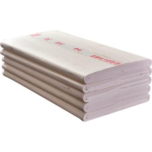 Chinese Half-Ripe Xuan Paper Thicken Painting Raw Xuan Paper Calligraphy Bamboo Pulp Ripe Rice Paper Rijstpapier Carta Di Riso