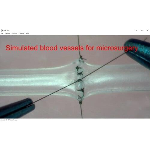1mm 2mm microsurgery suture training simulation blood vessel ultra-thin neurosurgery hand surgery