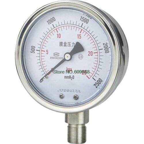 100mm Capsule Pressure Gauge Sulfur/High Temperature/Corrosion Resistant 40KPa 60KPa YE100BF