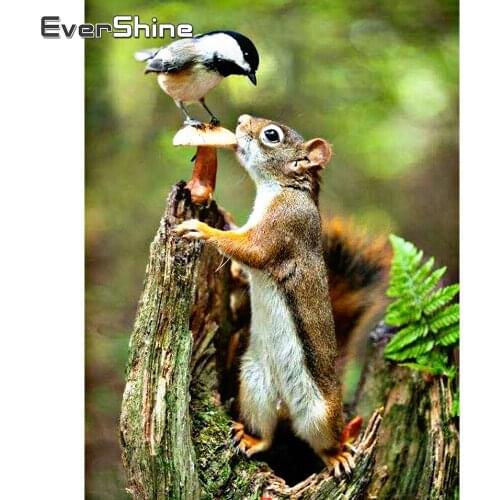 Evershine Diamond Painting Squirrel Full Square Rhinestone 5D DIY Animals Embroidery Cross Stitch Kit Home Decoration