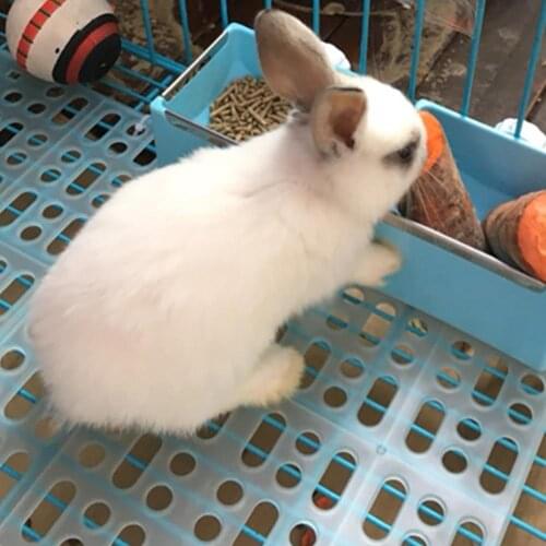 Small Animal Rabbit Feet Mat Pet Cage Mat for Hamster Cage Rabbit Grids Holes Anti-slip Feet Pads for Small Pet Cage Accessories