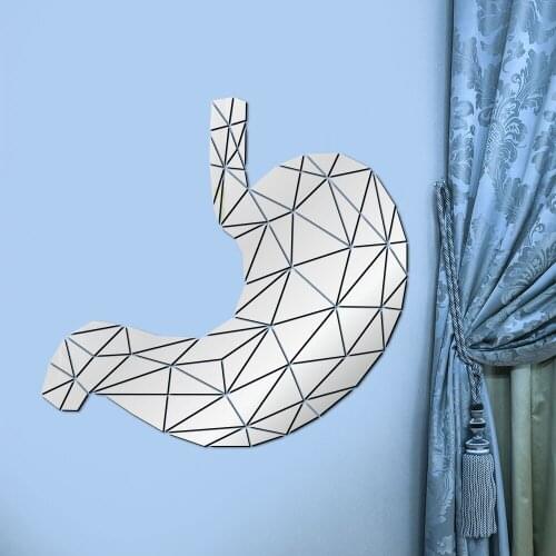 Stomach Anatomy Geometric Acrylic Mirror Wall Sticker Digestive System Medical Wall Art 3D Mirrored Wall Decal Med Student Gift