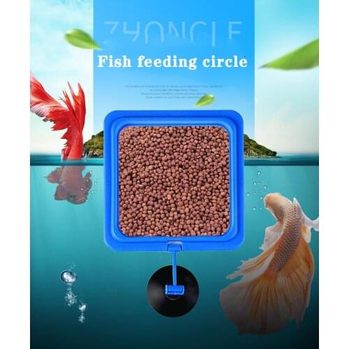 Large square aquarium feeding ring fish tank floating food tray feeder round accessories buoyancy suction cup decoration