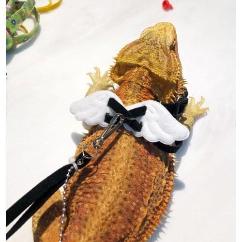 New Lizard Angel Wing Traction Rope Pet Harness Reptile Leash Adjustable Outdoor Training Soft Strap