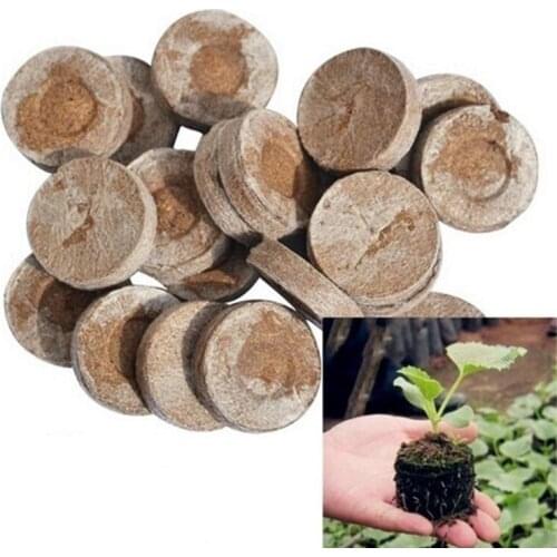 Peat Pellets Seed Germination Flowers Seeds Starter Pallet Nutrient Substance Planting Seedling Soil Block 10 Pcs