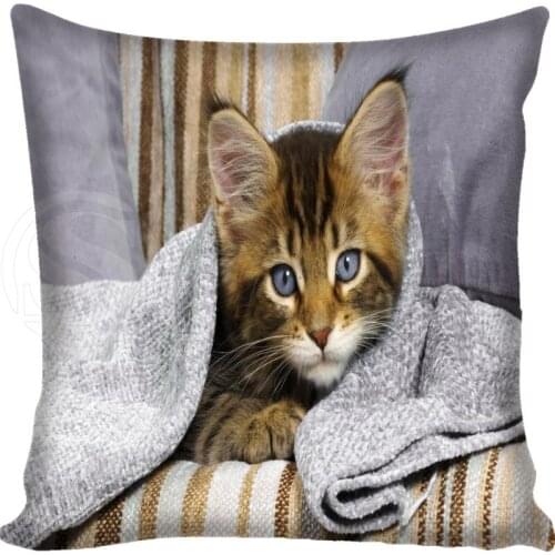 Cute cat Pillow Cover Home Living Decorative Pillowcase Custom Square Pillow Cover 20X20cm,35X35cm(one side)